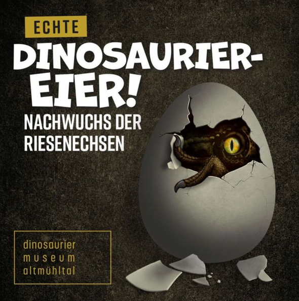 Das Dinosauriermuseum Altmühltal startet in die Saison 2023