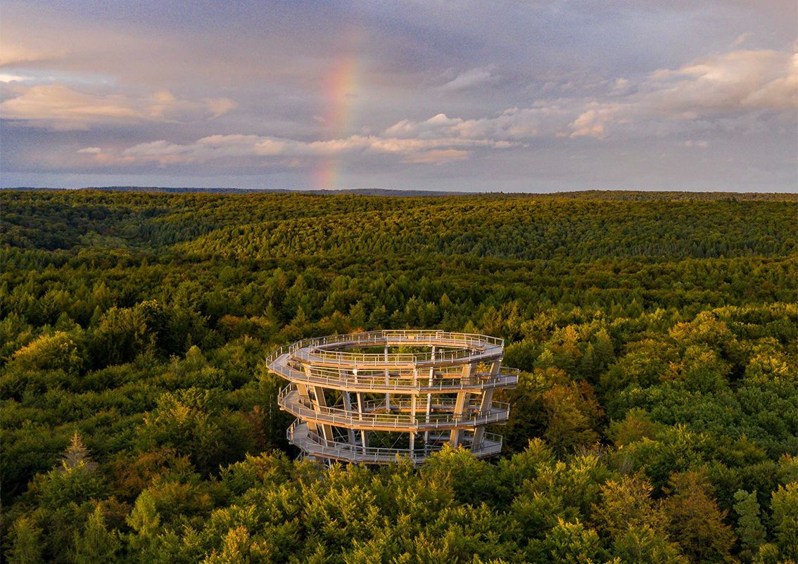 Dem Himmel so nah - Der Baumwipfelpfad Steigerwald bei Ebrach