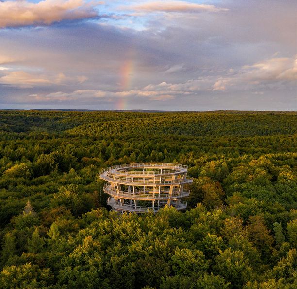 Die Sommerferien starten am Baumwipfelpfad Steigerwald mit einem Regionalmarkt und dem Märchenzauber mit Paul Maar