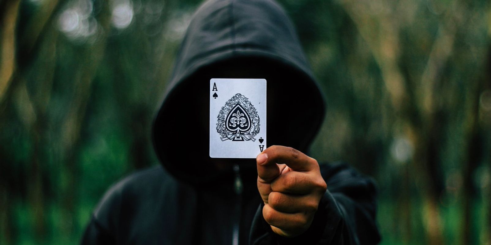 Bei der magischen Tour durch Erlangen zeigen sich bekannte Orte von einer neuen, fast geheimnisvollen Seite – besonders in den Abendstunden.