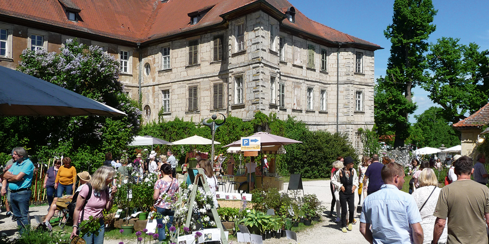 Faszination Garten - der Gartenmarkt auf Schloss Weingartsgreuth vom 124. - 26. Mai 24 in Wachenroth