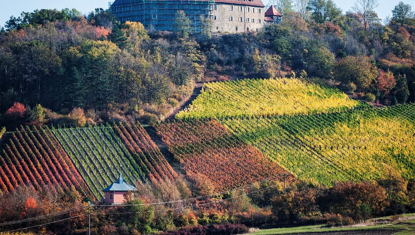 Frankens Mehrregion - Entdecken Sie den Landkreis Neustadt a.d.Aisch-Bad Windsheim