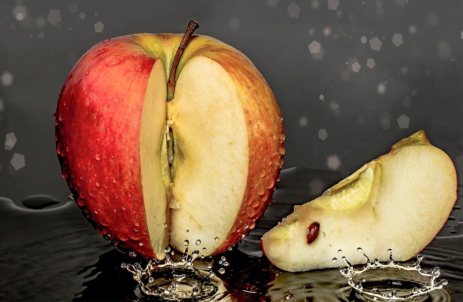 Willkommen zur Apfelwoche im Botanischen Garten der Friedrich-Alexander-Universität Erlangen-Nürnberg!