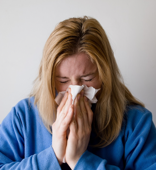 Gesund durch den Winter: Die AOK Erlangen und die Kräuterhexen empfehlen wohltuende Gewürze gegen Erkältungsbeschwerden