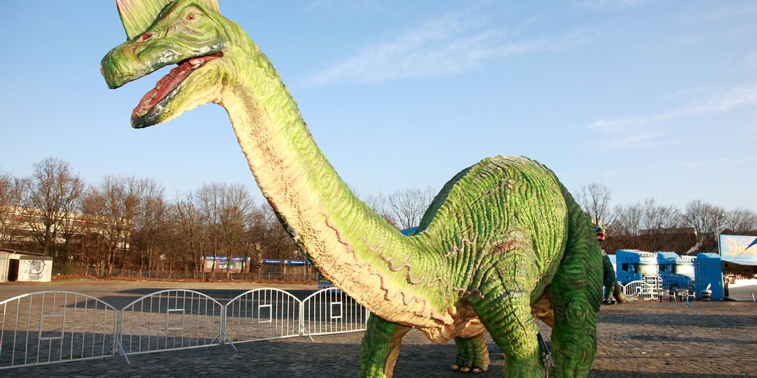Willkommen in der Urzeit: Europas größte mobile Dinosaurier-Ausstellung kommt vom 18. - 26.10.25 nach Forchheim!