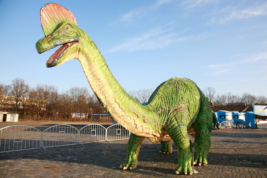 Unvergessliche Abenteuer 8. - 26.10.25 bei der Dinosaurier-Ausstellung in Forchheim