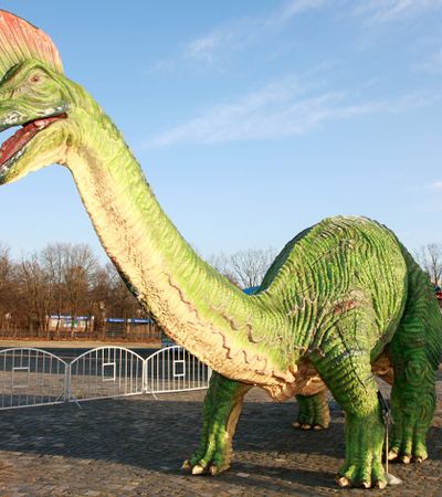 Unvergessliche Abenteuer 8. - 26.10.25 bei der Dinosaurier-Ausstellung in Forchheim