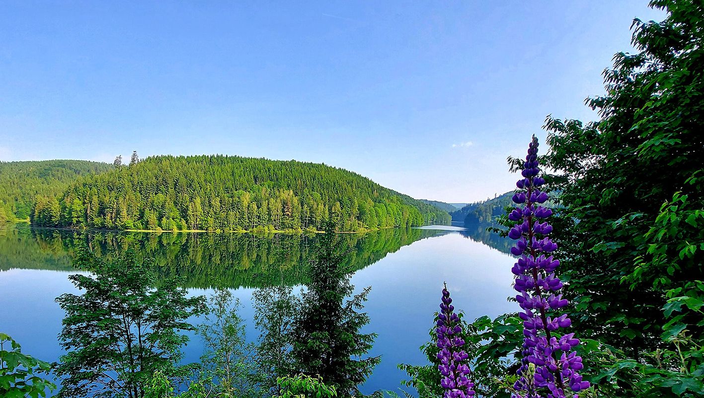 Natur pur im Oberen Rodachtal: Ein Paradies für Outdoor-Enthusiasten