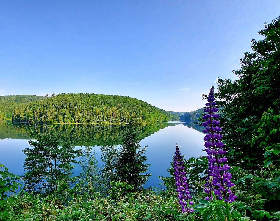 Naturschätze im Oberen Rodachtal: Eine Entdeckungsreise durch eine einzigartige Landschaft