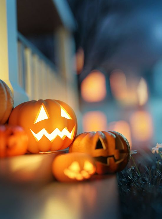 Halloween-Spektakel auf Gut Wolfgangshof 2024 mit familienfreundlichem Grusel, Shows und Aktivitäten