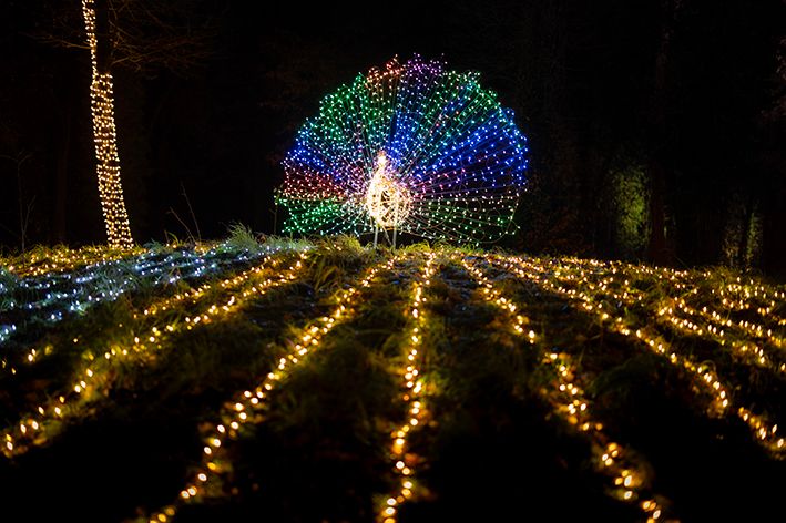 Lichterinstallation im Winter Wonderland Nürnberg