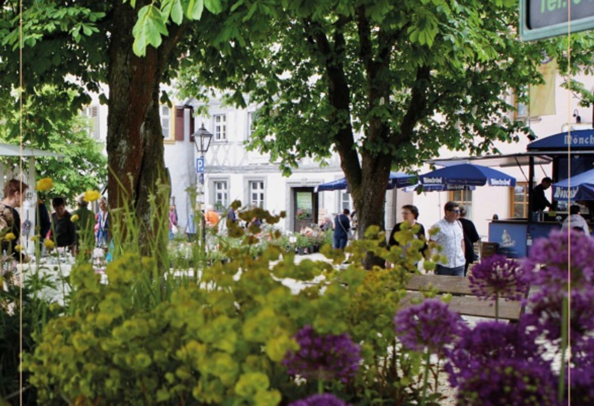 Kunst + Gartentage Hollfeld: Ein Fest für die Sinne