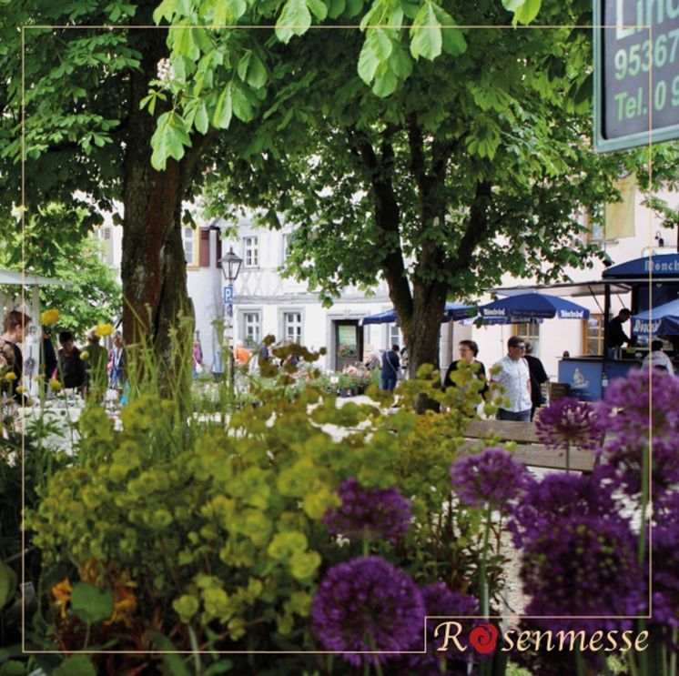 Ein Blick auf die Kunst + Gartentage Hollfeld, wo Besucher zwischen bunten Rosenständen und Kunsthandwerk schlendern und die frühlingshafte Atmosphäre genießen.