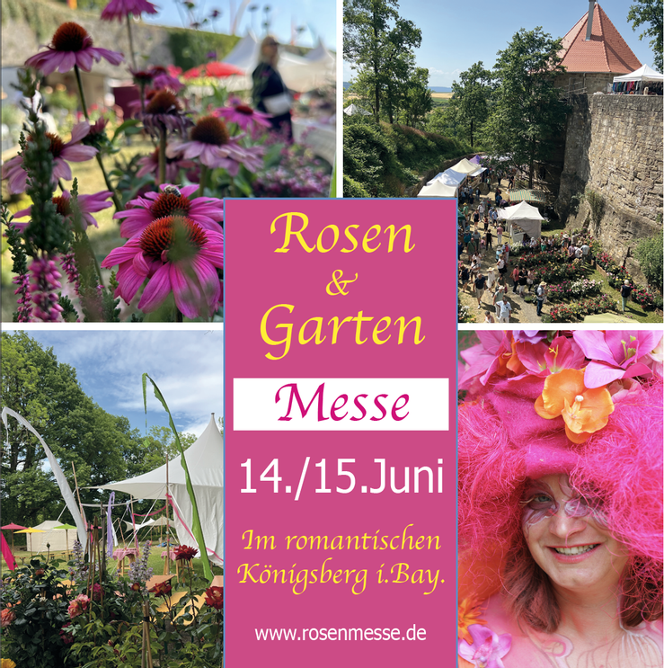 Leuchtende Rosenblüten in Rosa, Rot und Orange vor sattgrünem Hintergrund, Symbolbild für die Blumenpracht auf der Rosen- & Gartenmesse Königsberg i.Bay.