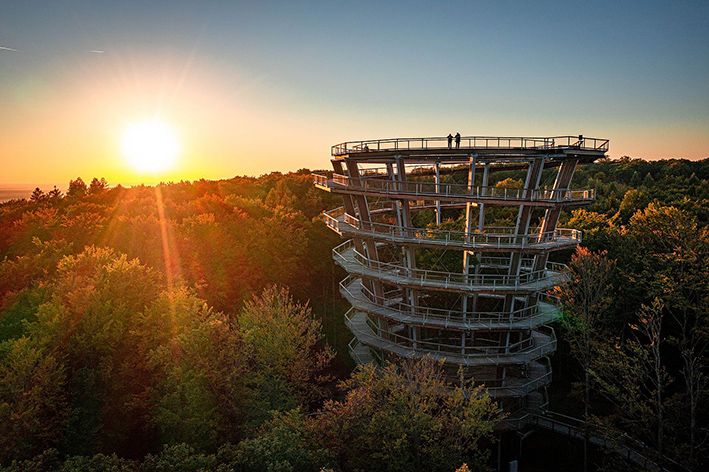 Baumwipfelpfad Steigerwald Aussichtsturm beim Jubiläum 2026 mit Besuchern und Blick über den Steigerwald