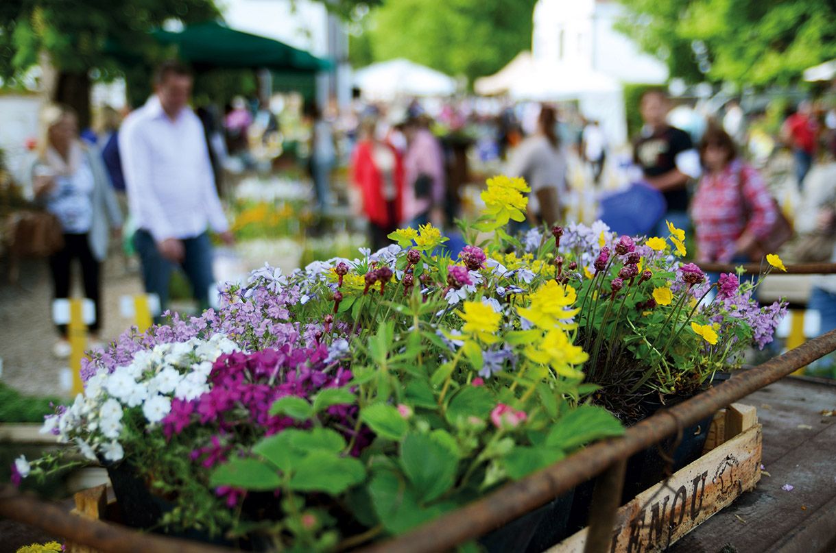Blumenstände auf der Gartenmesse Nürnberg 2026 am Gut Wolfgangshof mit Besuchern im Hintergrund