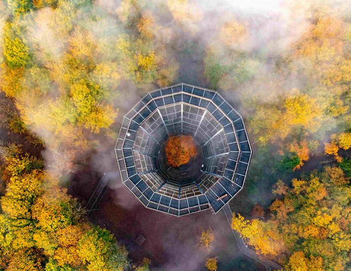 Baumwipfelpfad Steigerwald bei Ebrach im herbstlichen Wald mit Nebel