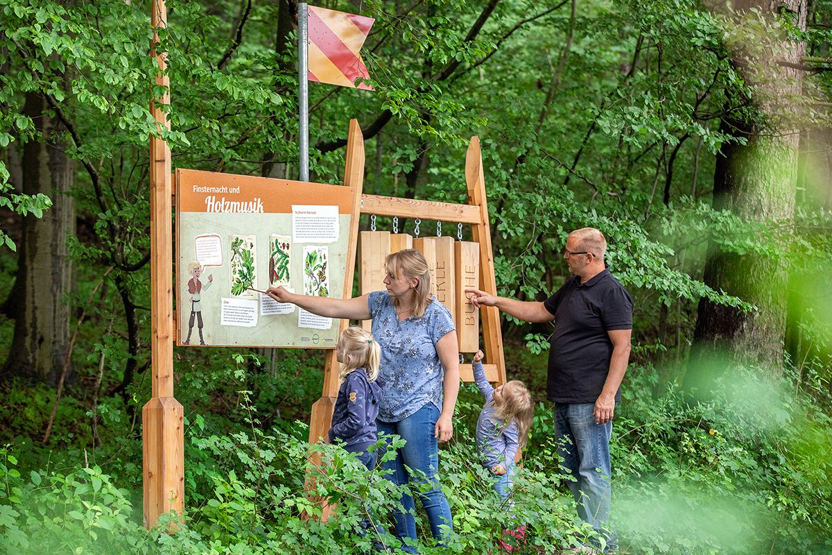 Ein Kind spielt an Klanghölzern im Wald