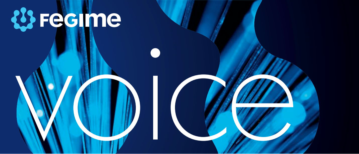 FEGIME VOICE