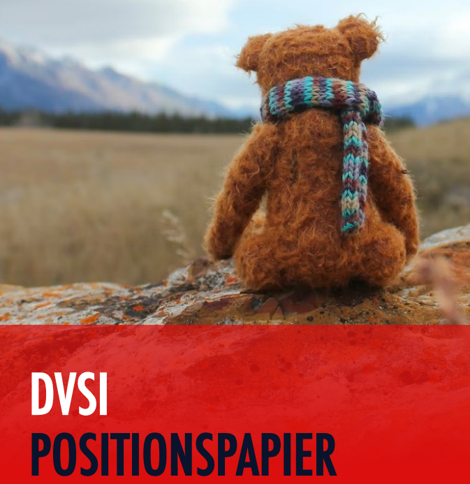 DVSI Positionspapier „Auswirkungen der Energiekrise auf die Spielwarenbranche“