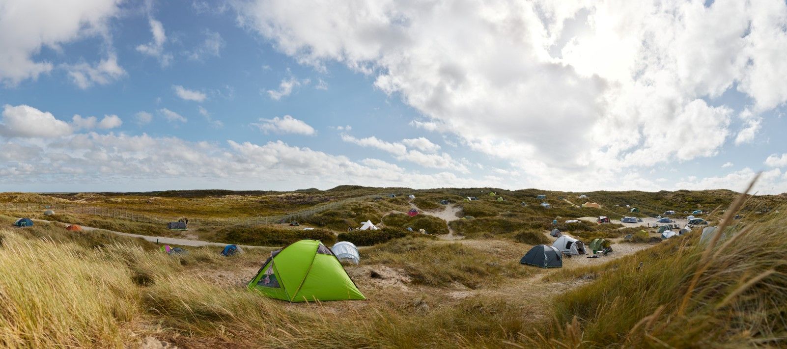 Weitläufige Dünenlandschaft auf Sylt mit zahlreichen Zelten, die locker verteilt zwischen dem hohen Dünengras stehen. Am Himmel ziehen weiße Wolken vor einem sonnigen, blauen Hintergrund. Die Szene vermittelt eine ruhige, naturnahe Campingatmosphäre.