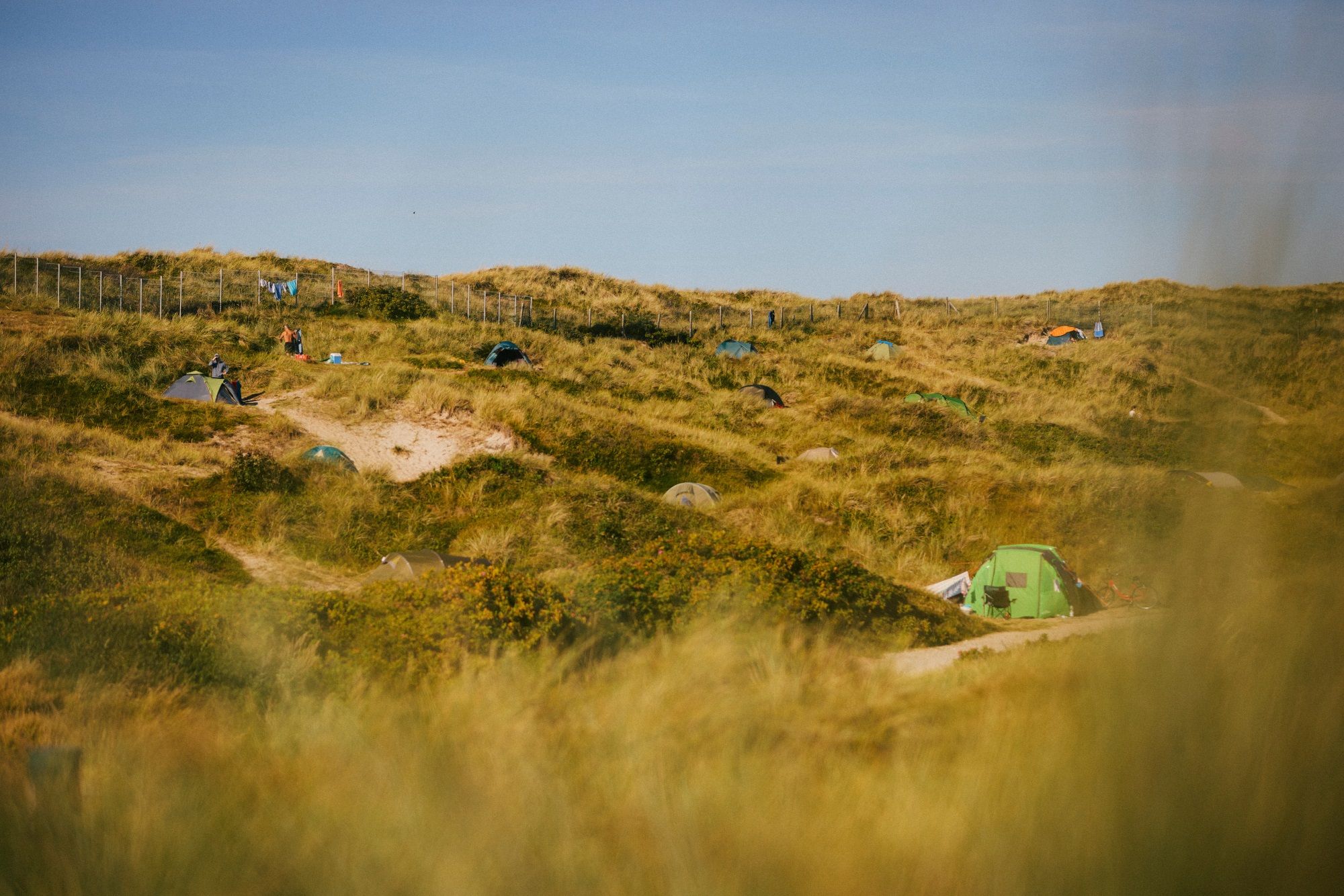 Eine weite, grüne Landschaft, auf der mehrere Zelte in den Dünen aufgestellt sind. Im Hintergrund sind Wäschestücke an einer Leine aufgehängt, und es gibt ein Zelt, das deutlich sichtbar in der Mitte des Bildes steht. Der Himmel ist klar und blau, was auf einen schönen, sonnigen Tag hindeutet. Die Zelte sind gut in die natürliche Umgebung integriert, umgeben von Gras und Sträuchern.