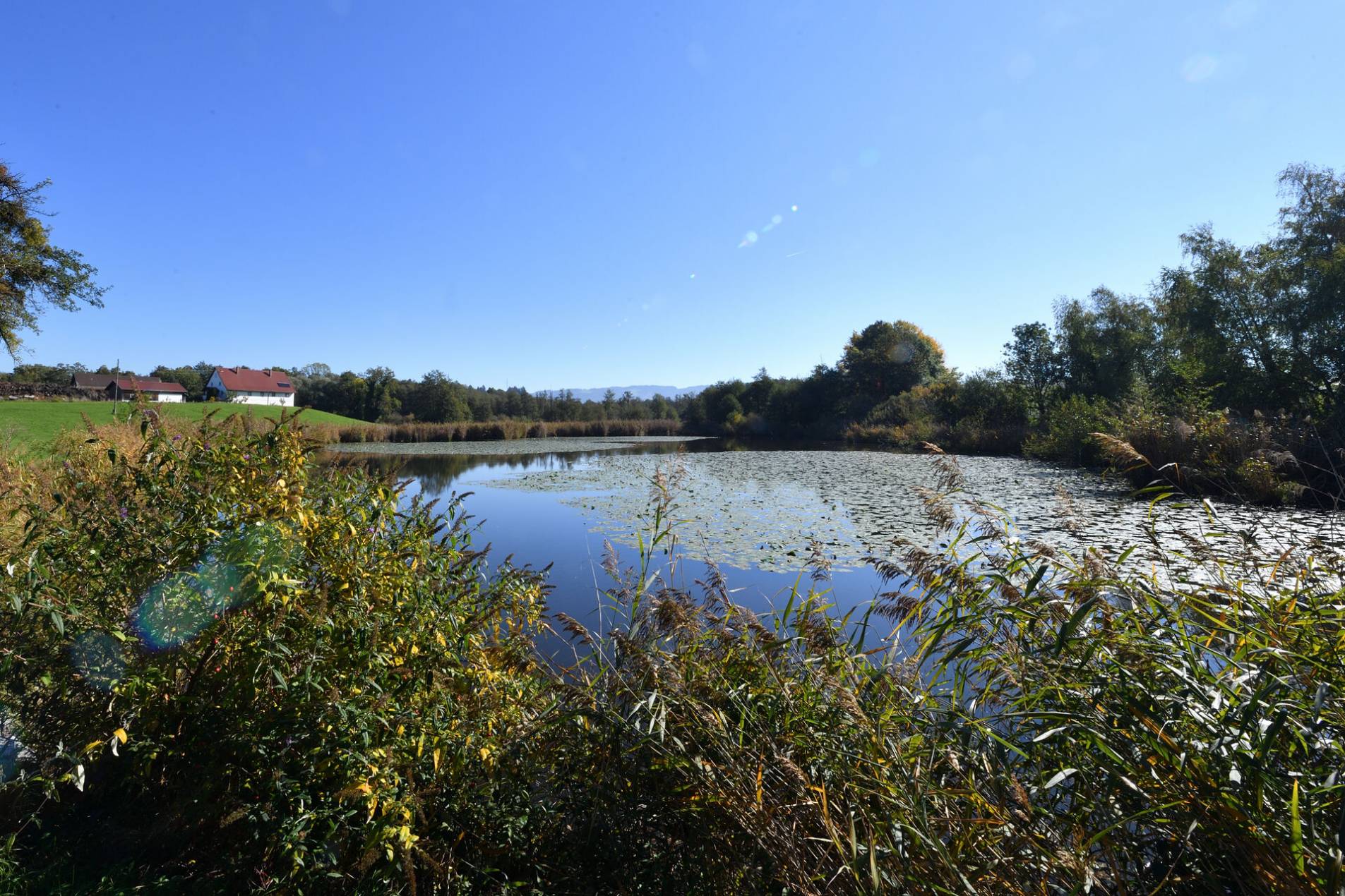 NATURSCHUTZ › Gemeinde Wasserburg