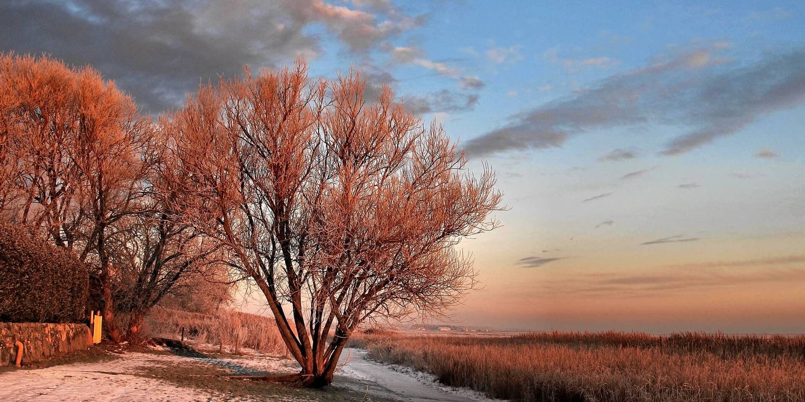 Winter am Wattenmeer auf Sylt