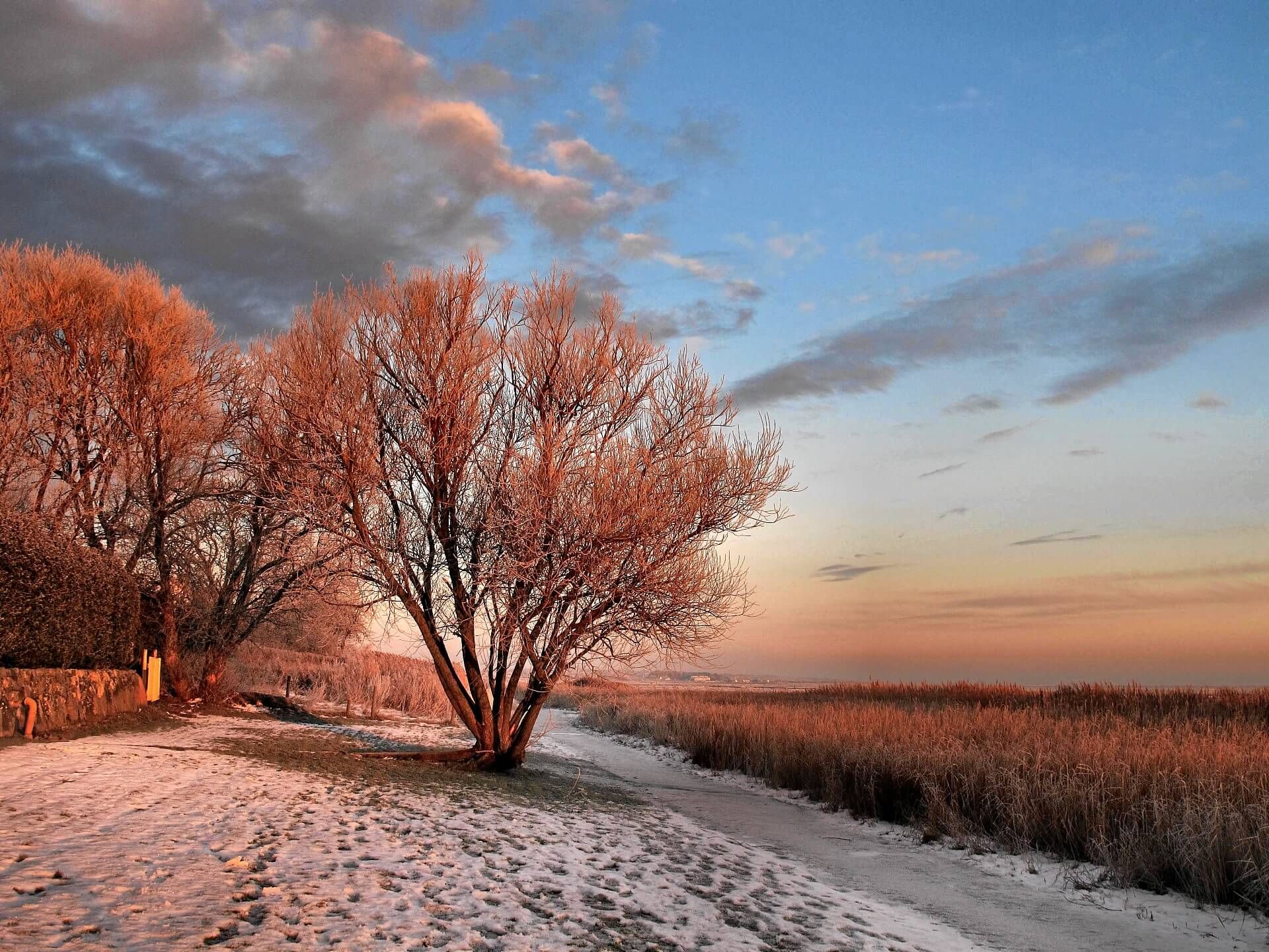 Winter am Wattenmeer bei goldener Stunde auf Sylt