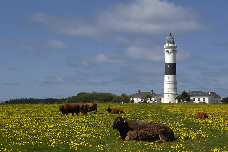 So entspannen die Sylter – Wohlfühltipps für die Insel