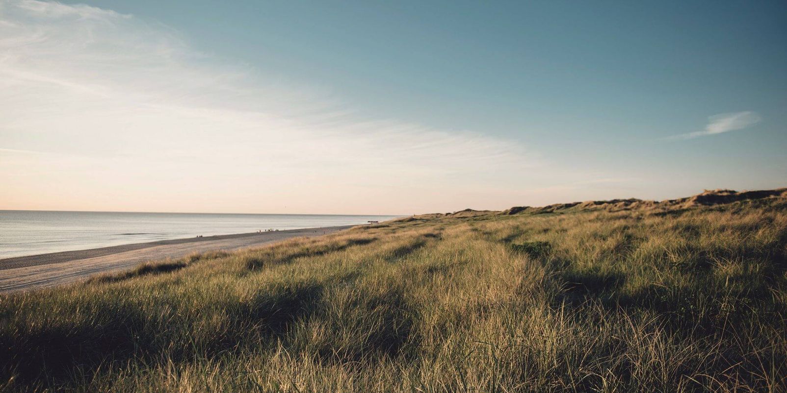 Nachhaltig leben und mit kleinen Tricks Positives bewirken