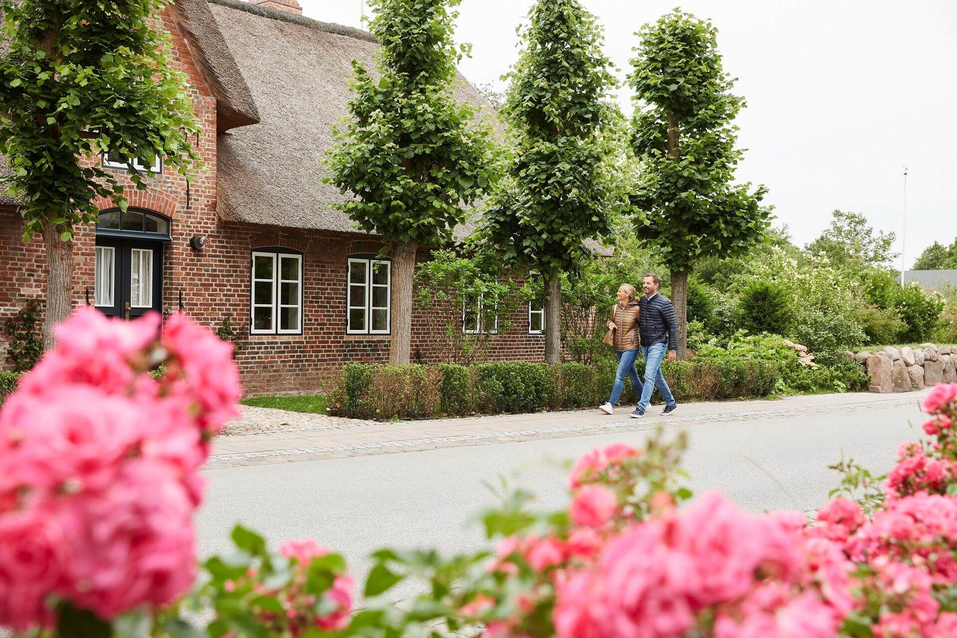 Mann und Frau spazieren durch Keitum an einem Friesenhaus vorbei, im Vordergrund sind rosablühende Heckenrosen zu sehen