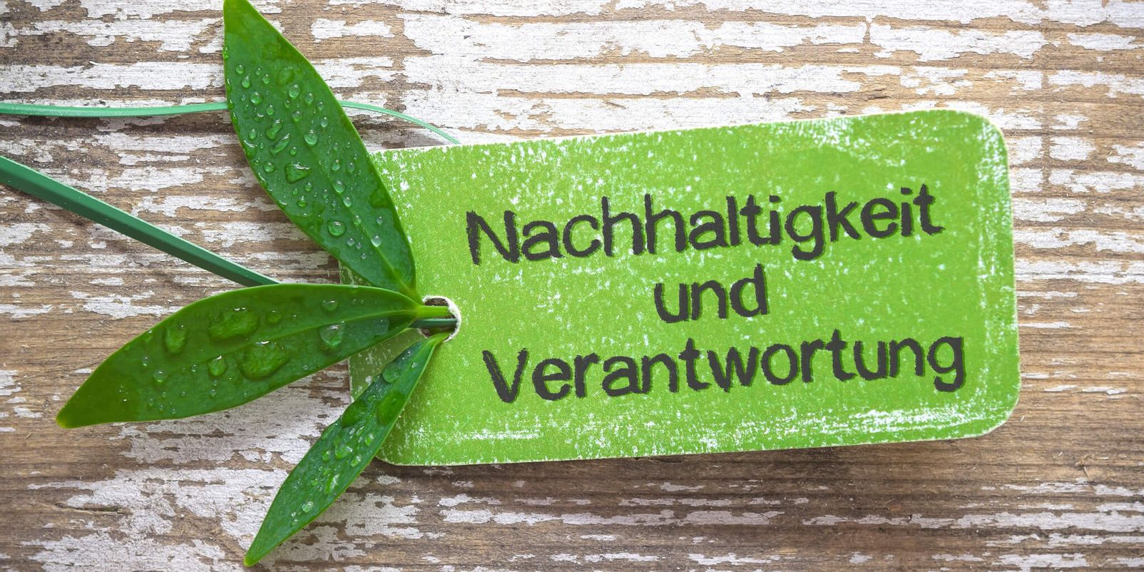 Nachhaltigkeit Workshop 