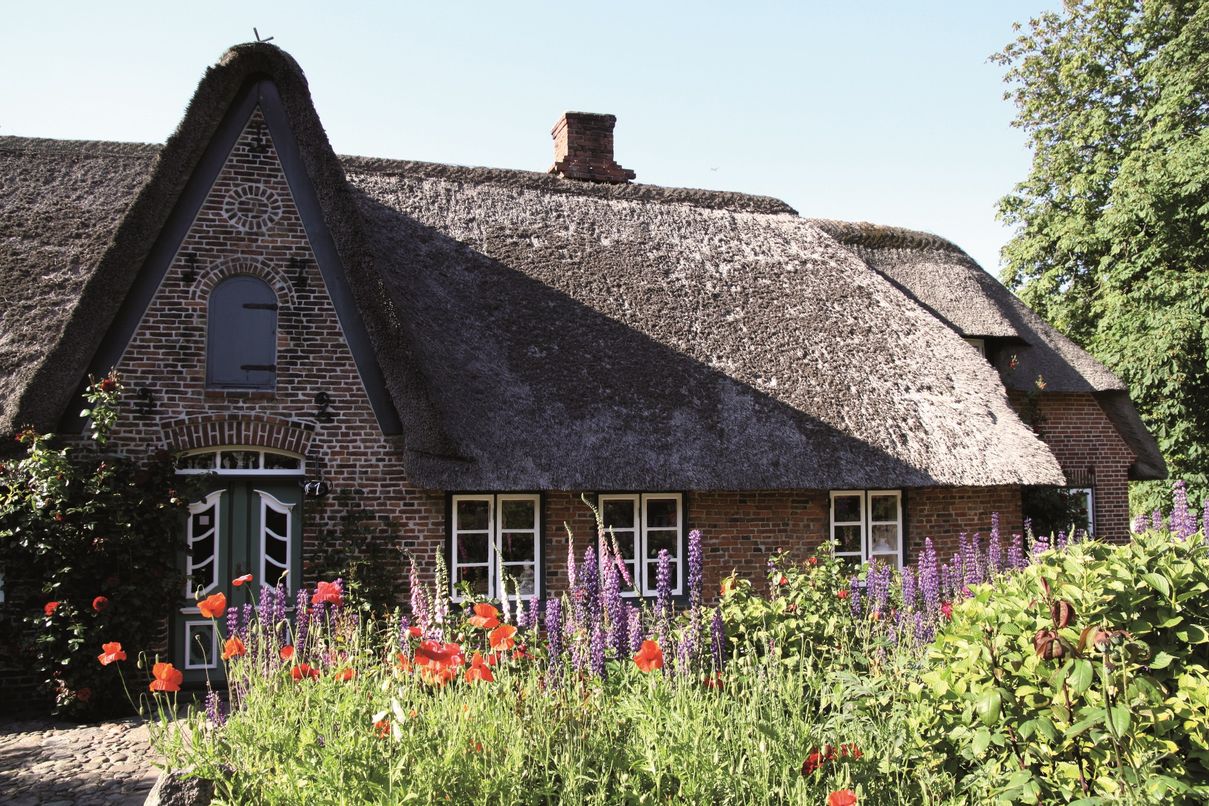 Reetdachhaus in Keitum auf Sylt mit Mohnblumen und Rittersporn