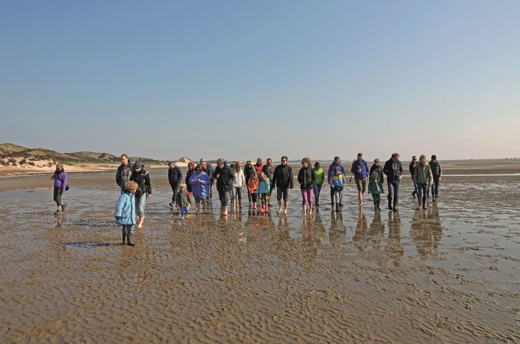 Wattwanderung im Wattenmeer vor Sylt