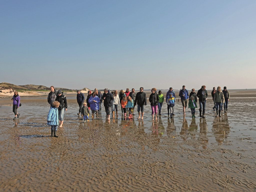 Wattwanderung im Wattenmeer vor Sylt