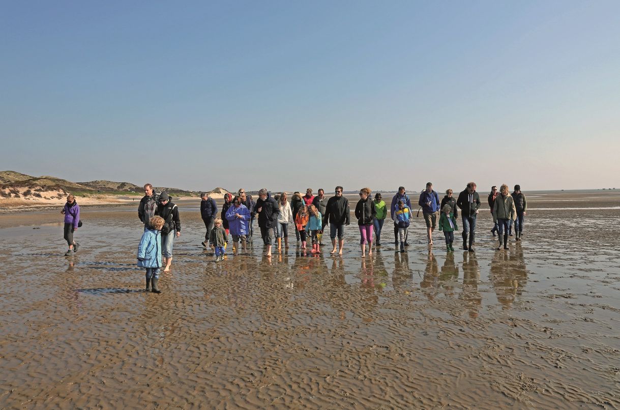Wattwanderung im Wattenmeer vor Sylt