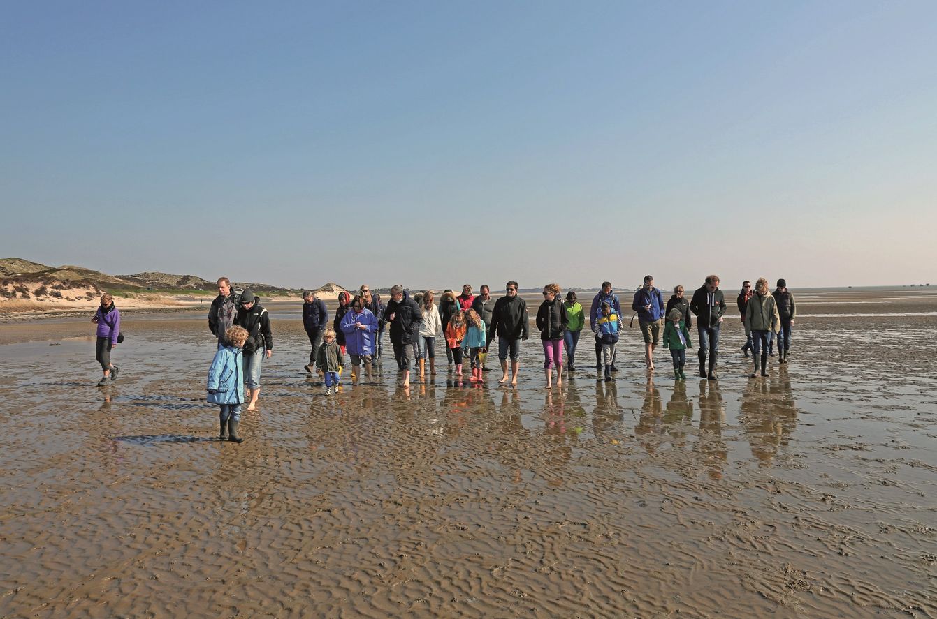 Wattwanderung im Wattenmeer vor Sylt