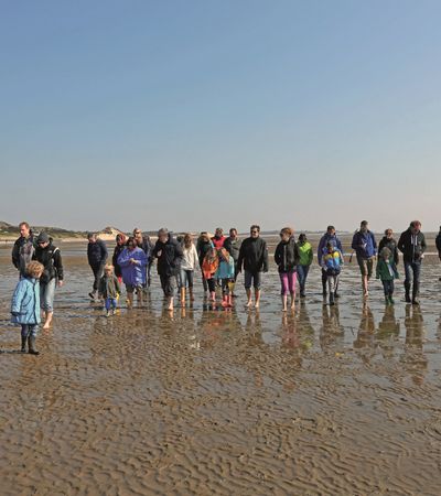Wattwanderung im Wattenmeer vor Sylt