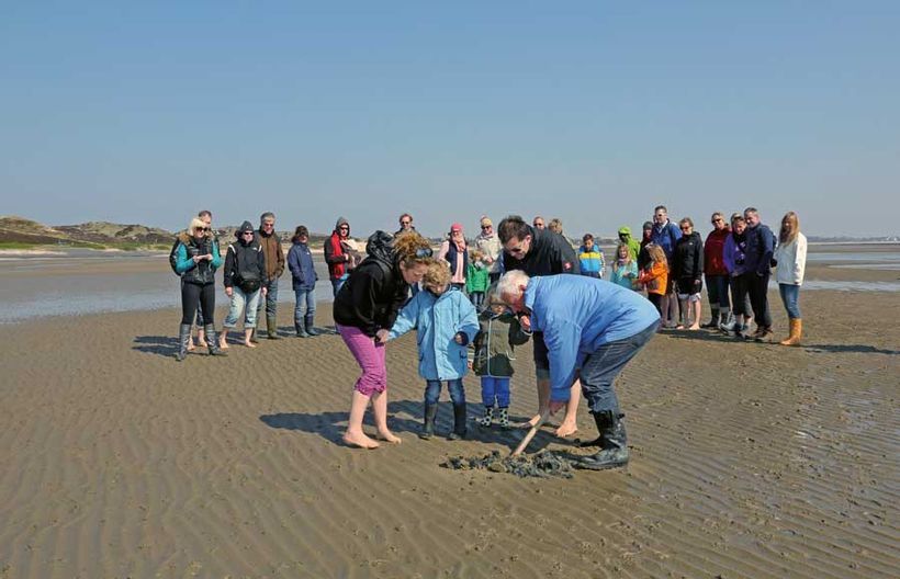 Geführte Wattwanderung auf Sylt