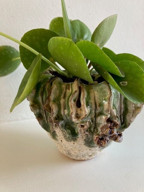 Das Blumengeschäft Alte Wäscherei auf Sylt