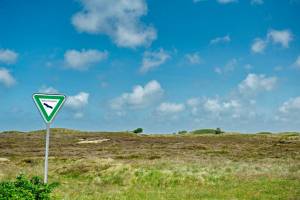 Morsum Naturschutzgebiet