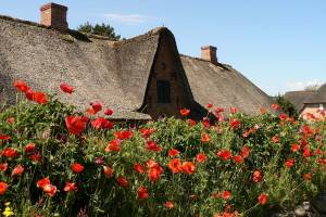 Friesenhaus Keitum Sylt
