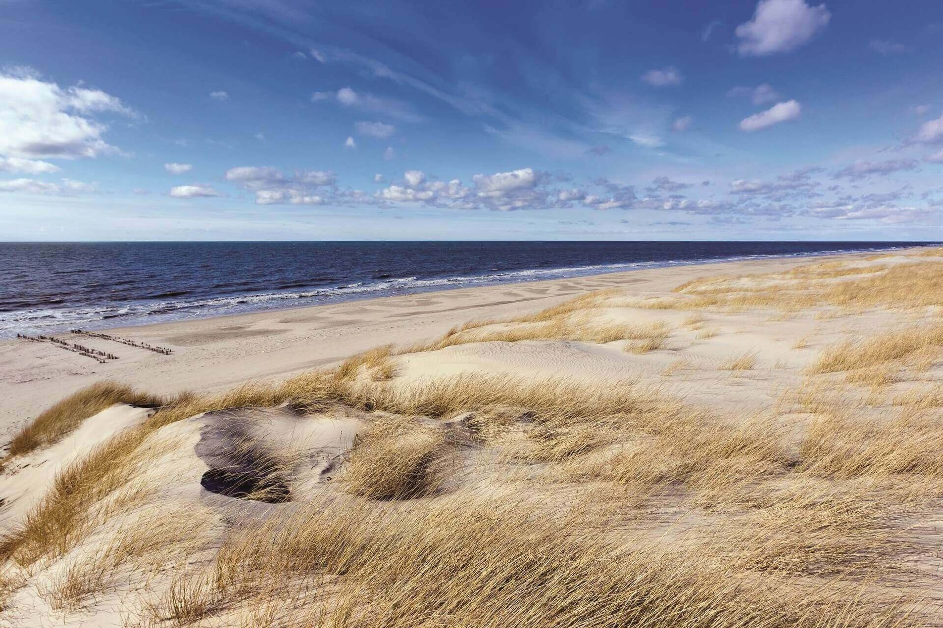 Die Dünen von Westerland im Wind, im Hintergrund die Nordsee