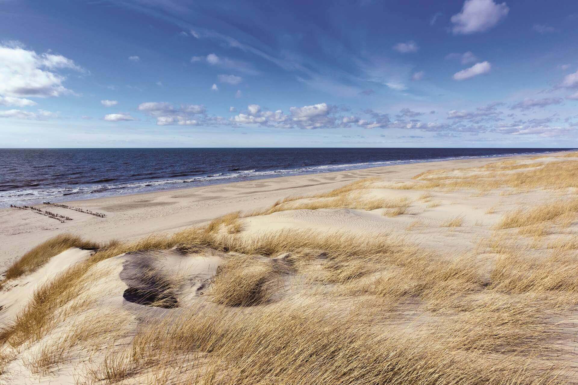 Die Dünen von Westerland im Wind, im Hintergrund die Nordsee