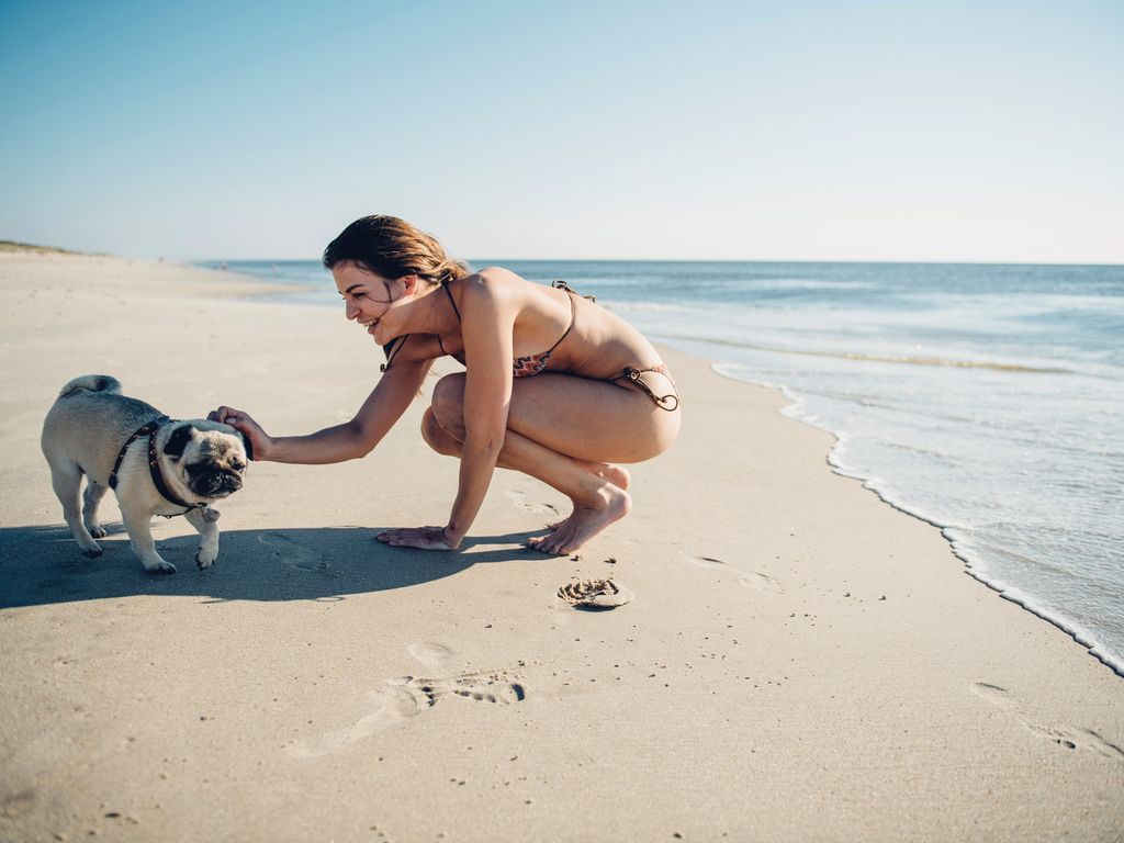 Bikinitragende Frau hockt am Flutsaum und streichelt eine französische Bulldogge