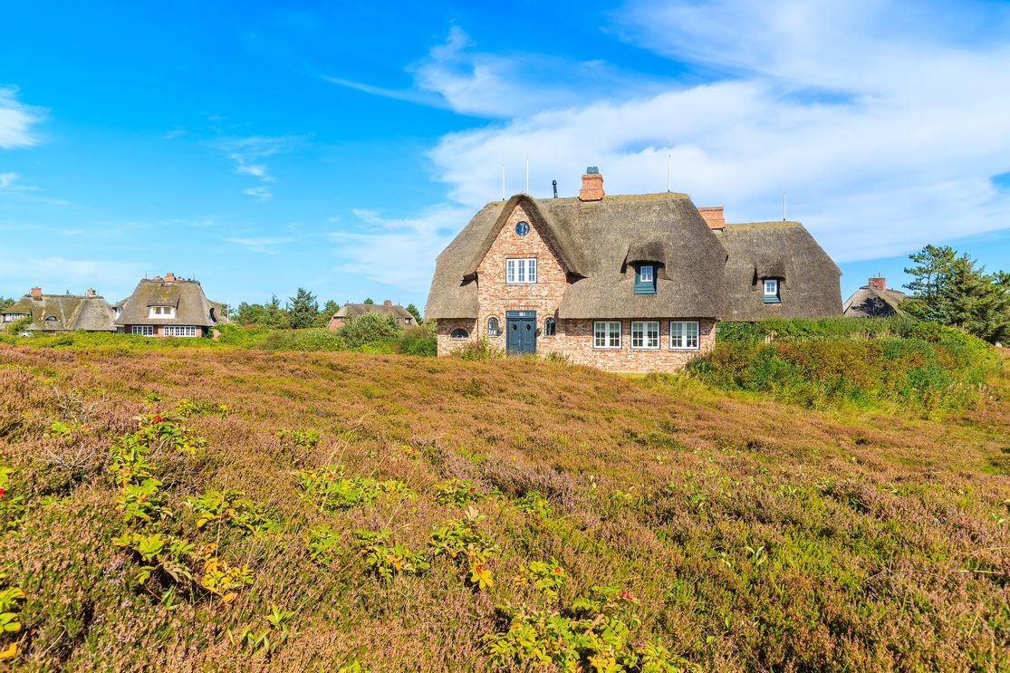 Reetdachhaus in der Heide von Sylt