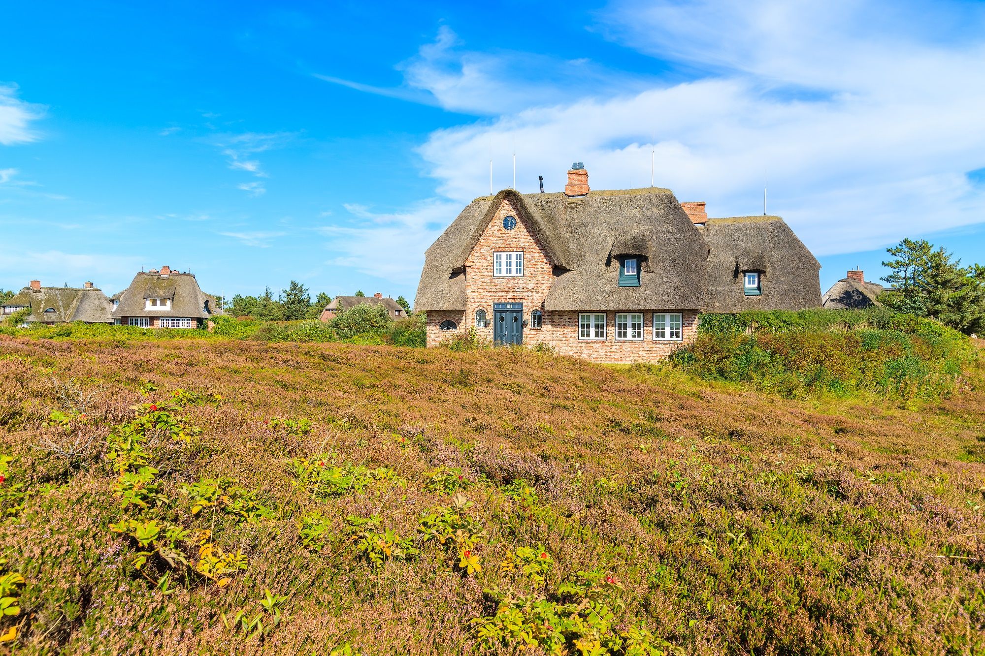 Reetdachhaus in der Heide von Sylt