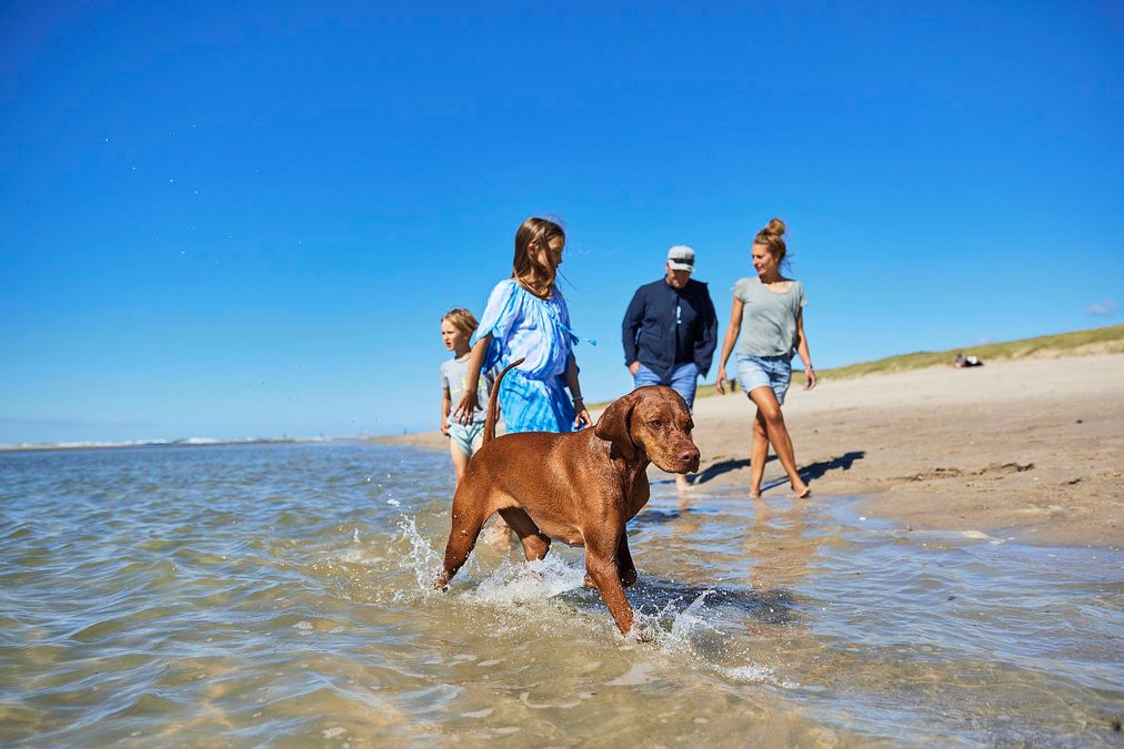 Eine Familie mit ihrem Hund am Hundestrand