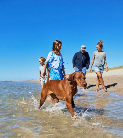 Eine Familie mit ihrem Hund am Hundestrand